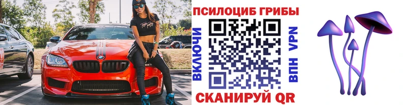 Купить закладки  Серов  Псилоцибиновые грибы MAGIC MUSHROOMS 